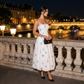 Midnight à Paris Dress