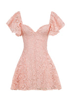 Pretty in Lace Dress