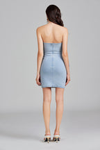 Fleur de Denim Dress