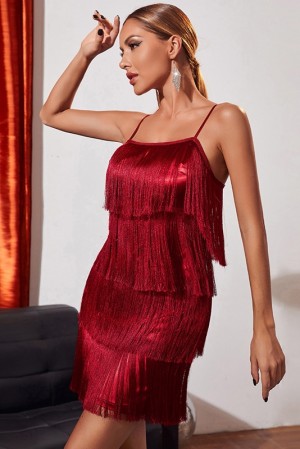 Scarlett Layered Fringe Dress