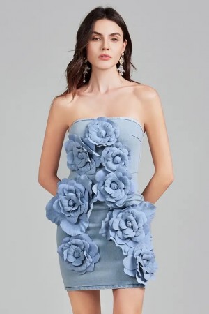 Fleur de Denim Dress