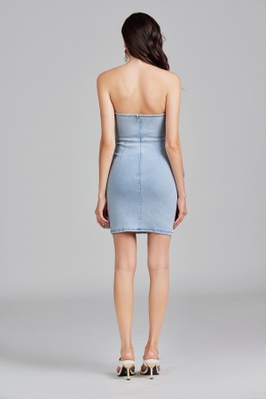 Fleur de Denim Dress